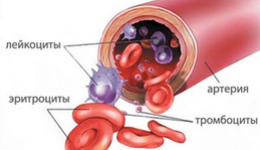 Гемолитическая анемия: причины
