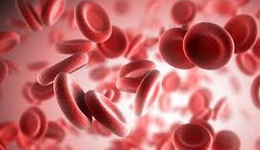 Легкая анемия 1 степени