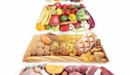 Профилактика анемии