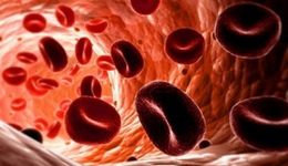 Что такое анемия 4 степени