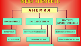 Какие бывают виды анемии?