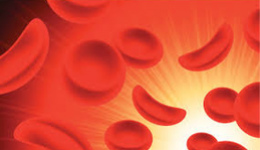 Серповидная анемия у человека